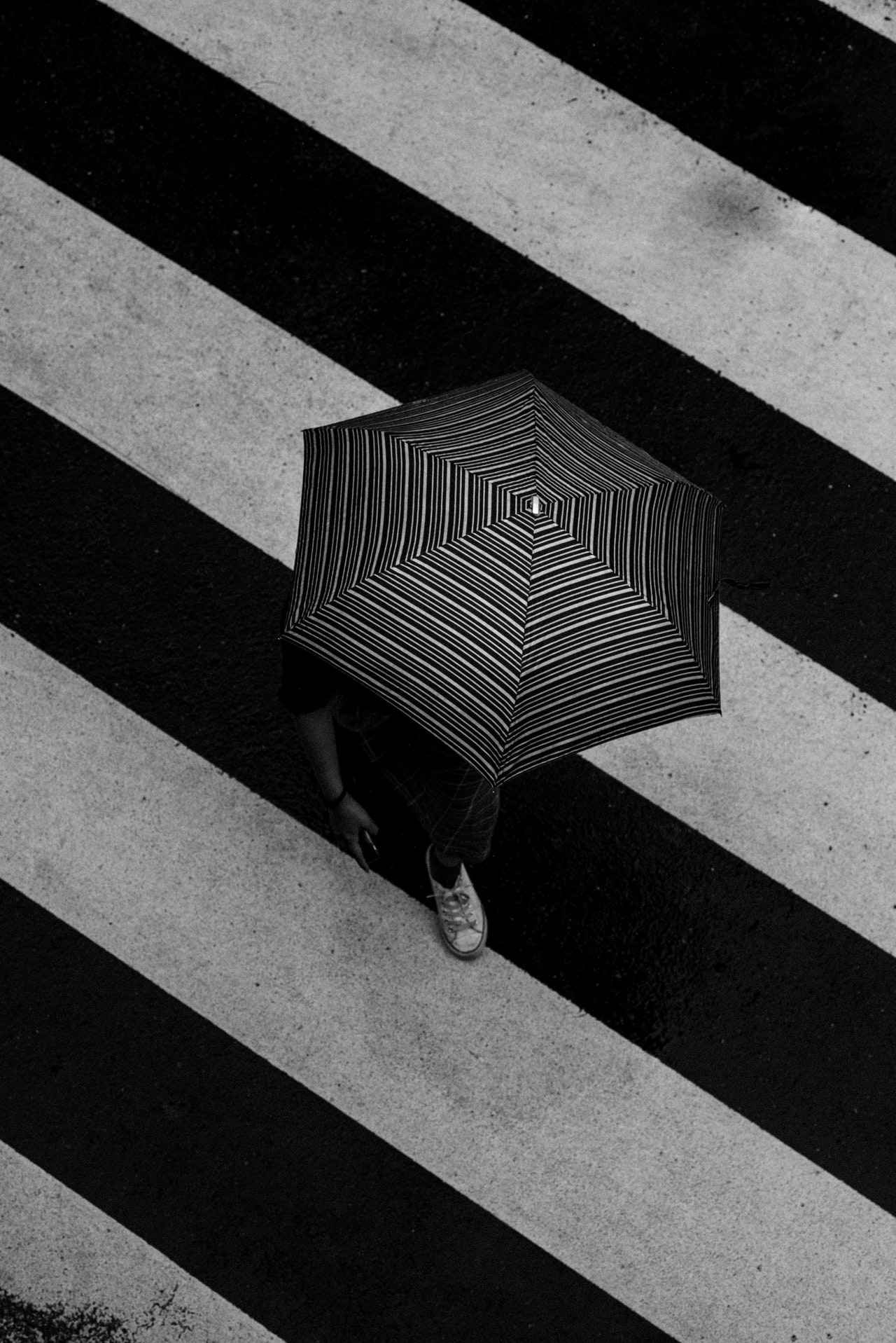 Zebra Crossing in Japan